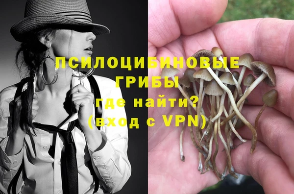 спайс Арсеньев