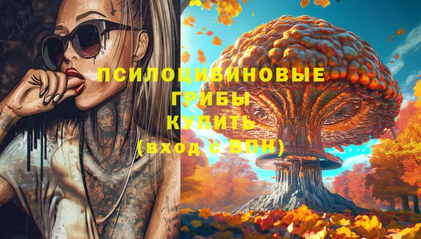спайс Арсеньев
